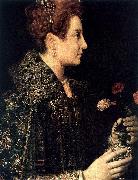 ANGUISSOLA  Sofonisba Profile Portrait of a Young Woman Spain oil painting artist